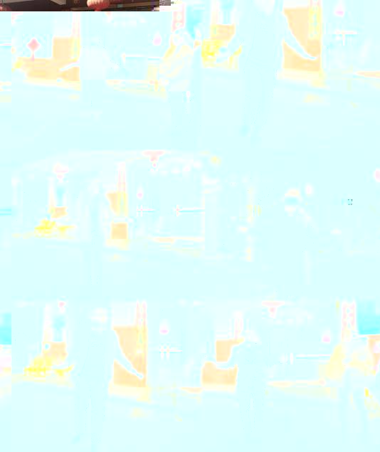 說明: IMG_256